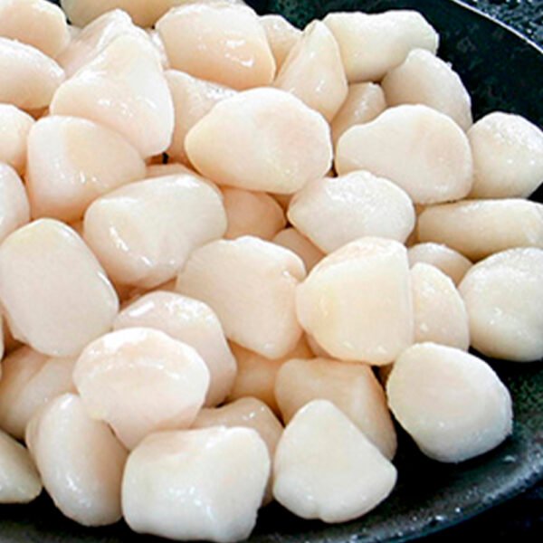 Carne de ostiones 1Kg.